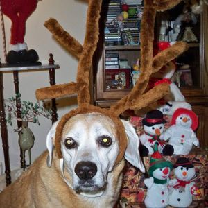 Meet your Posher, Nancy